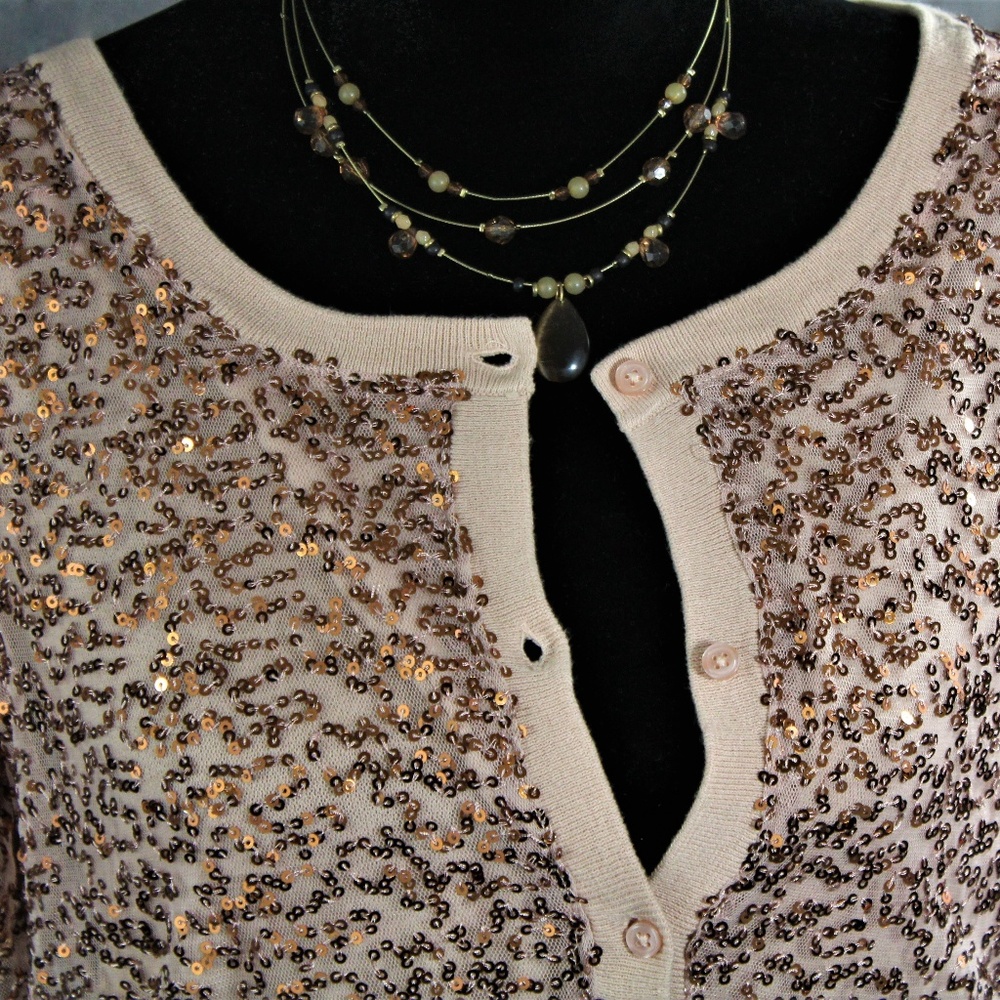 American Eagle Outfitters Sequin Sweater Large